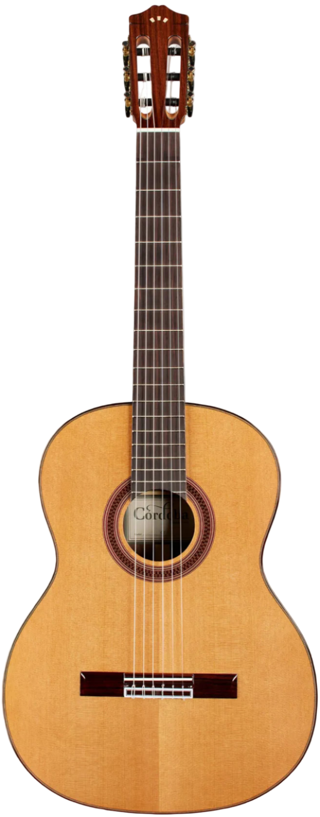 Cordoba C7 Cedar