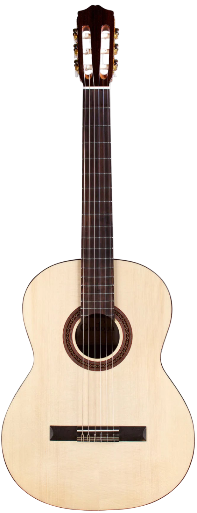 Cordoba C5 Spruce