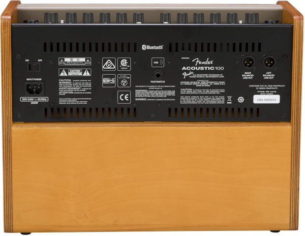 Fender 100 Acoustic Amp