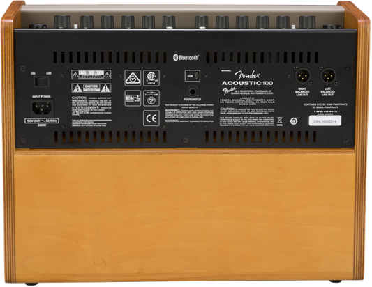 Fender 100 Acoustic Amp