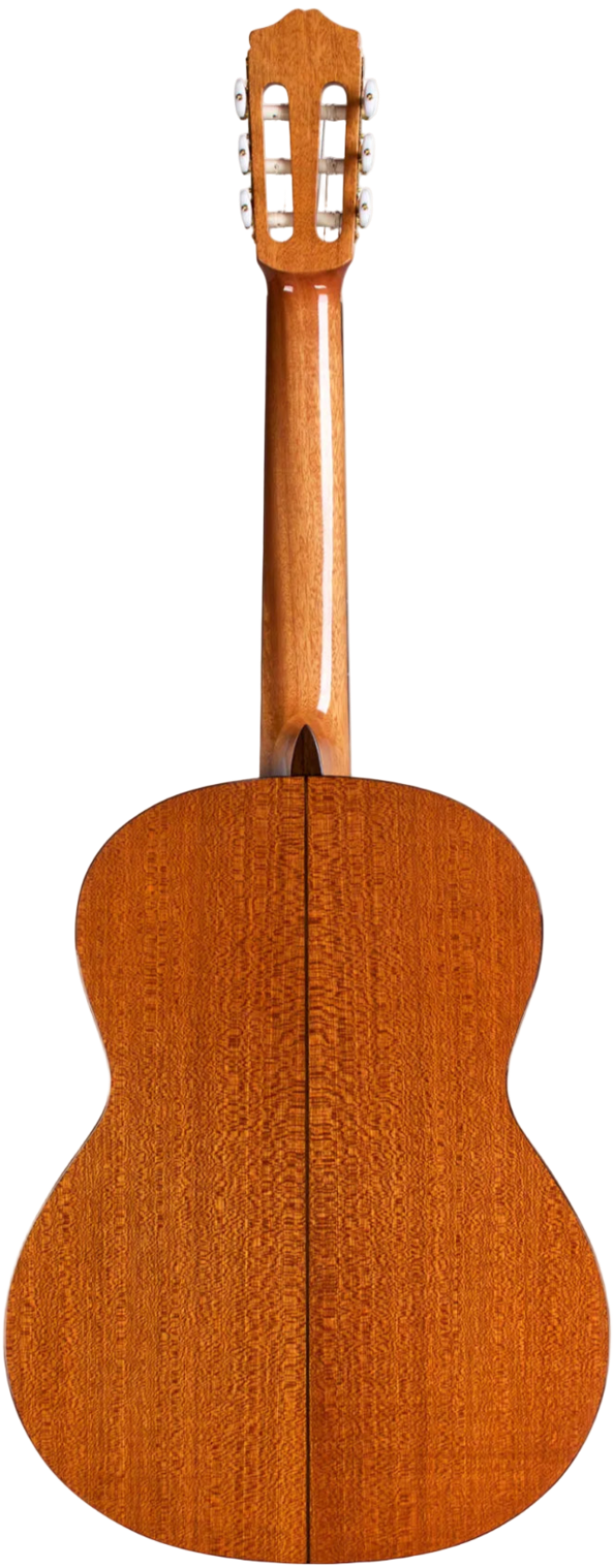 Cordoba C5 Spruce