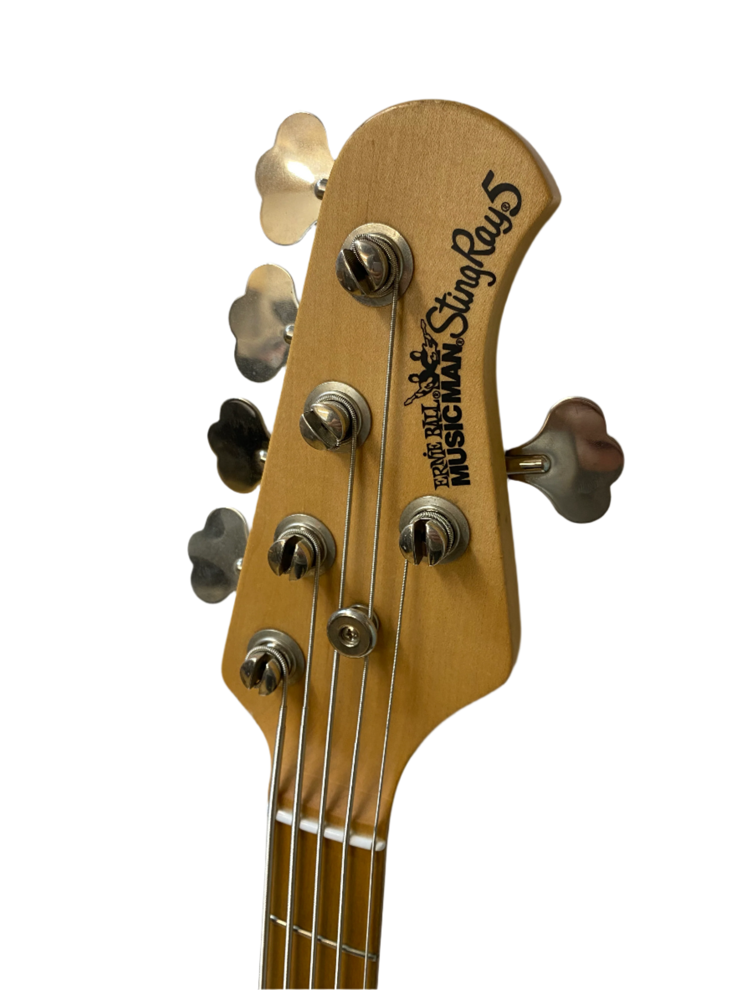 Ernie Ball Music Man Stingray 5