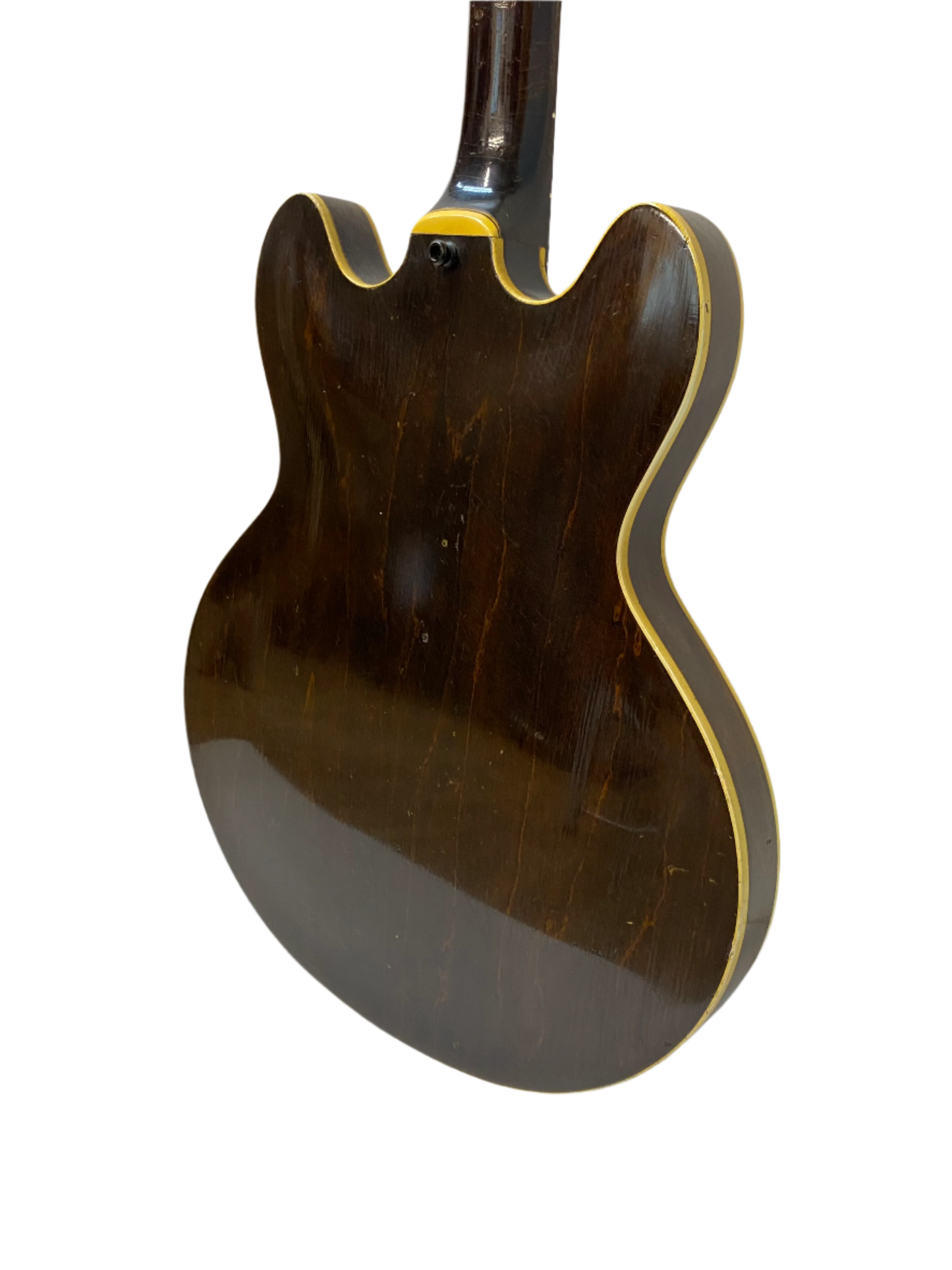Epiphone Rivoli 1964 Bass