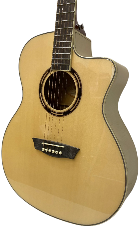 Washburn Apprentice AG40CEK