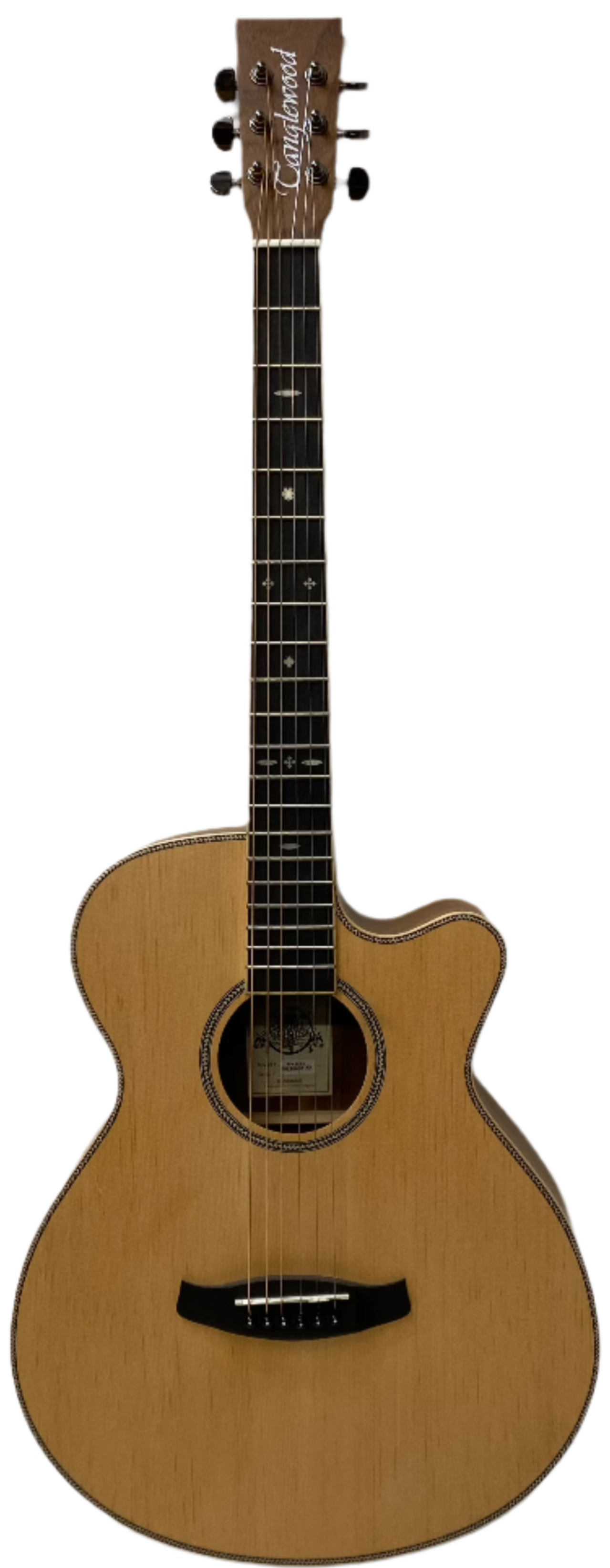 Tanglewood Reunion Pro Superfolk