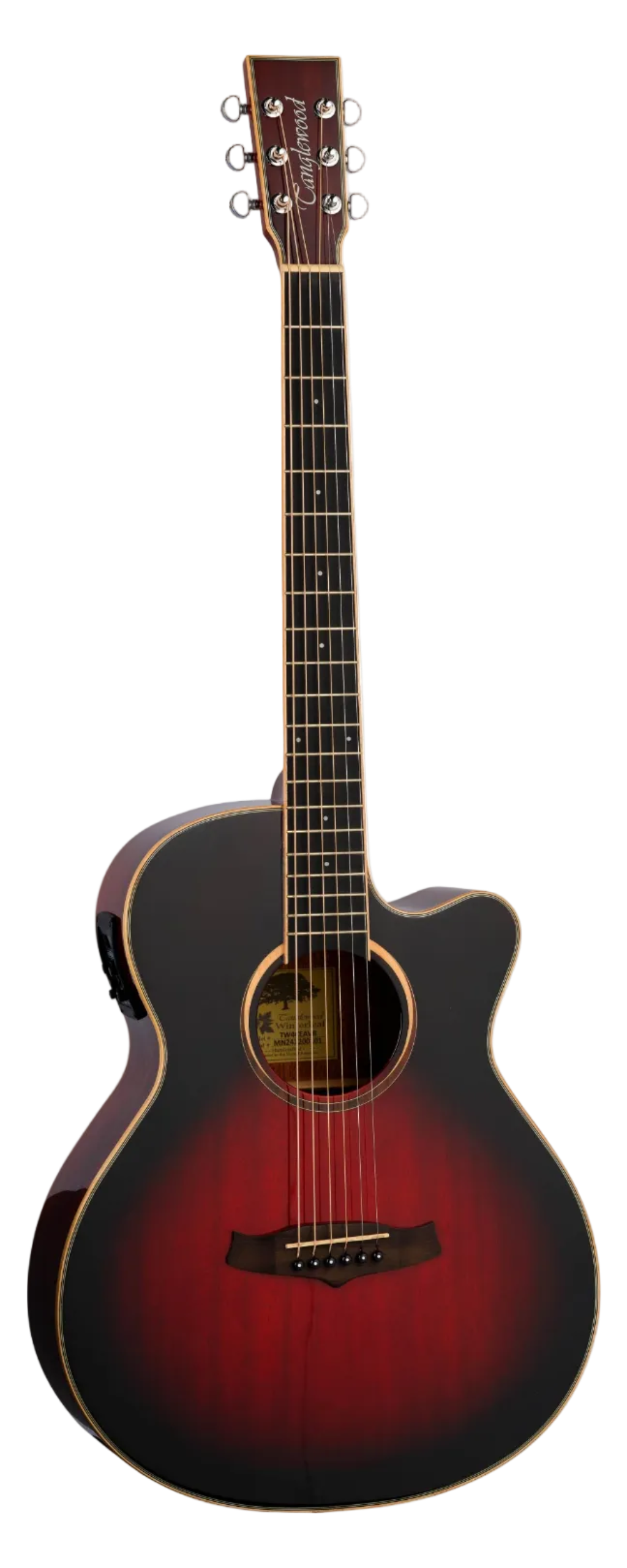 Tanglewood Winterleaf Super Folk TW4CEAVB