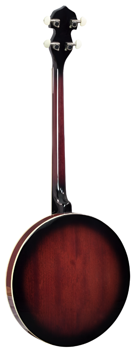 Barnes & Mullions 4 String Tenor 'Perfect' Banjo