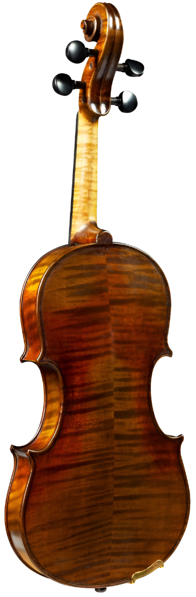 Hidersine Espressione 4/4 Violin