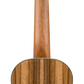Dhani Harrison Ukulele