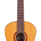Cordoba C5 Cedar