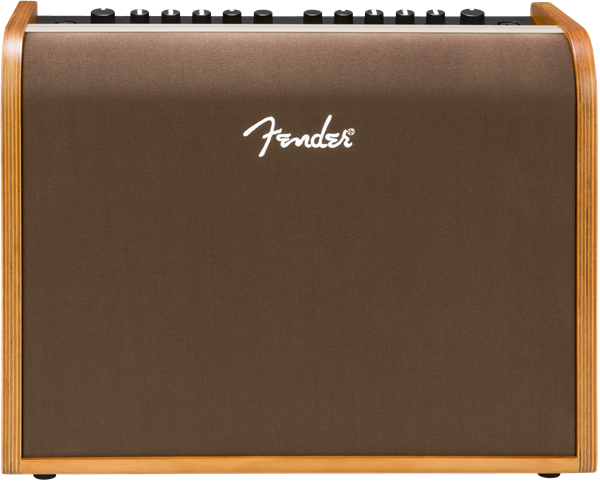 Fender 100 Acoustic Amp