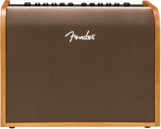 Fender 100 Acoustic Amp