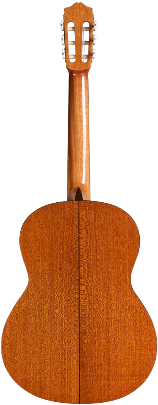 Cordoba C5 Spruce
