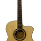 Washburn Apprentice AG40CEK