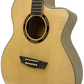 Washburn Apprentice AG40CEK