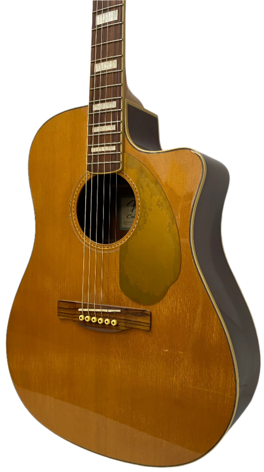 Fender Kingman