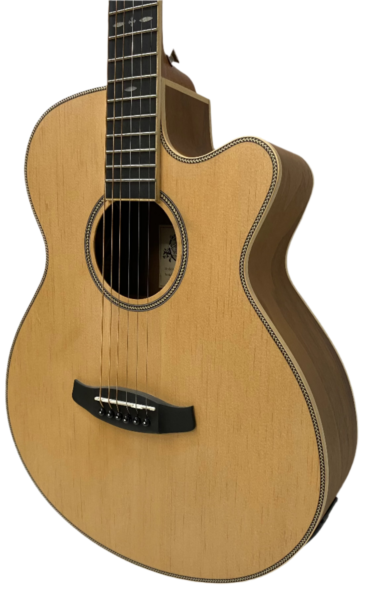 Tanglewood Reunion Pro Superfolk