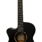 Tanglewood Blackbird TWBBSFCELH