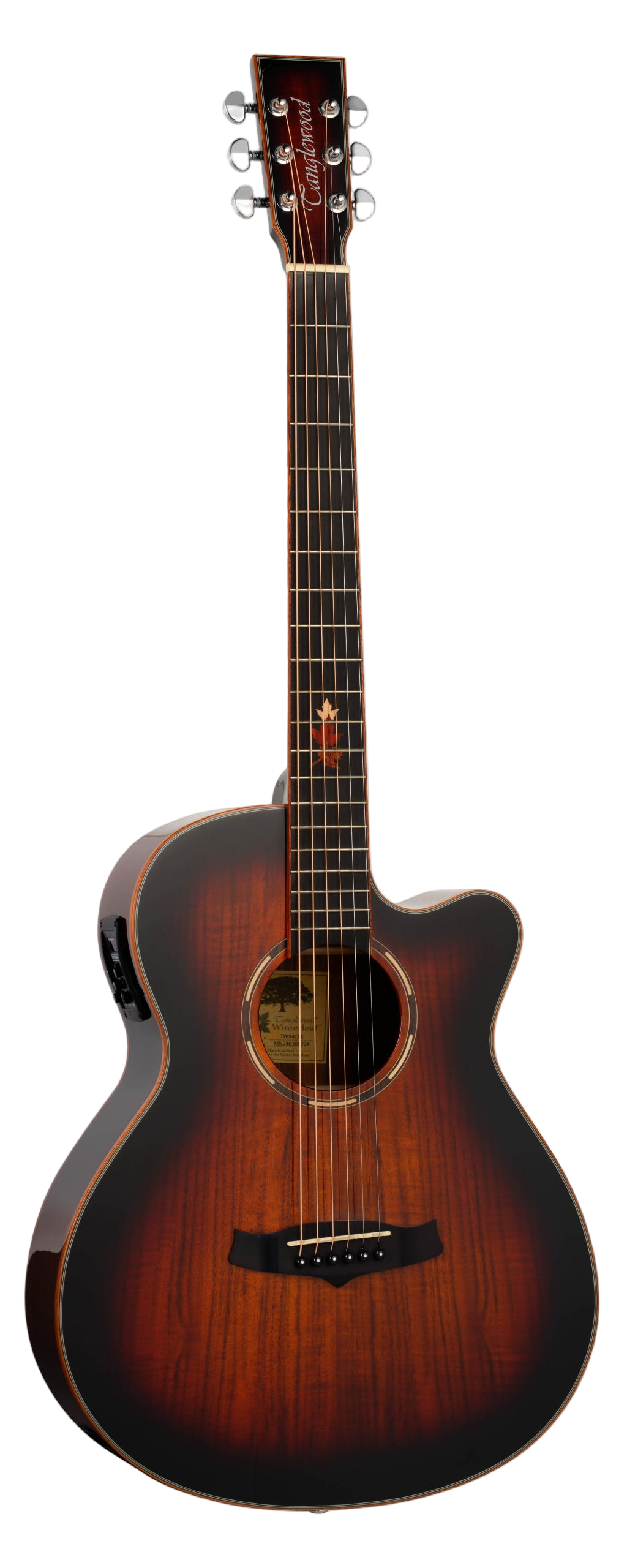 Tanglewood Winterleaf Exotic Super Folk TWX4CEK