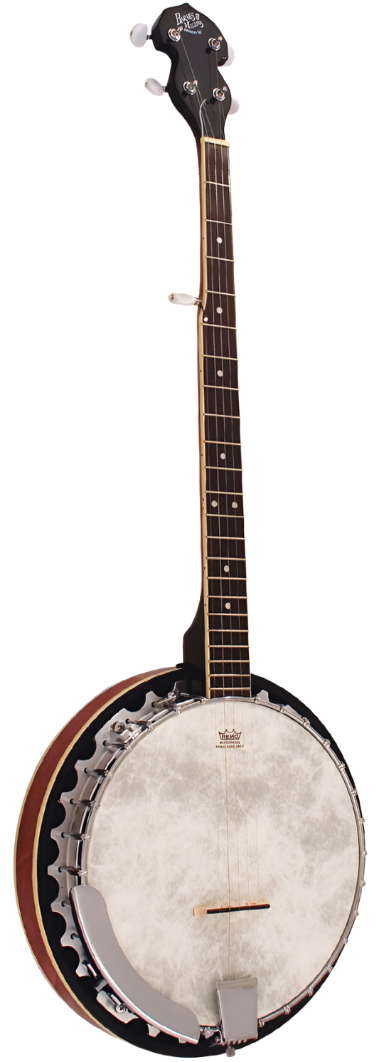 Barnes & Mullins 5 String 'Perfect' Banjo