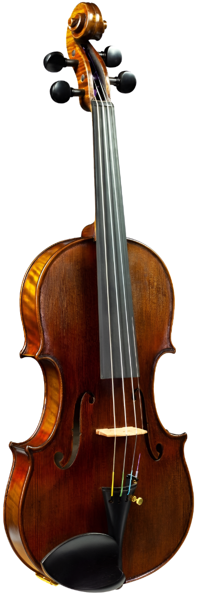 Hidersine Espressione 4/4 Violin